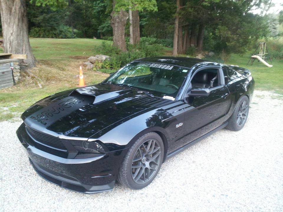 Boss Shinoda Vibe Stripe Style Drivers door decal 2010-2014