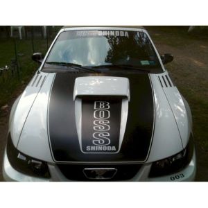 Boss Shinoda 99-04 Widow banner (Silver)