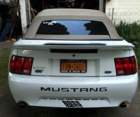 Boss Shinoda 99-04 Rear Bumper Decal