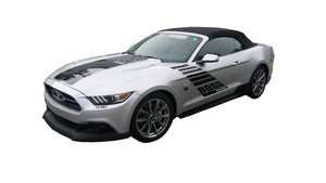 Boss Shinoda Chin Spoiler 2015 -2017