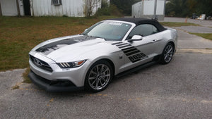 Boss Shinoda Vibe Stripe Drivers Side Decal 2018 -2023