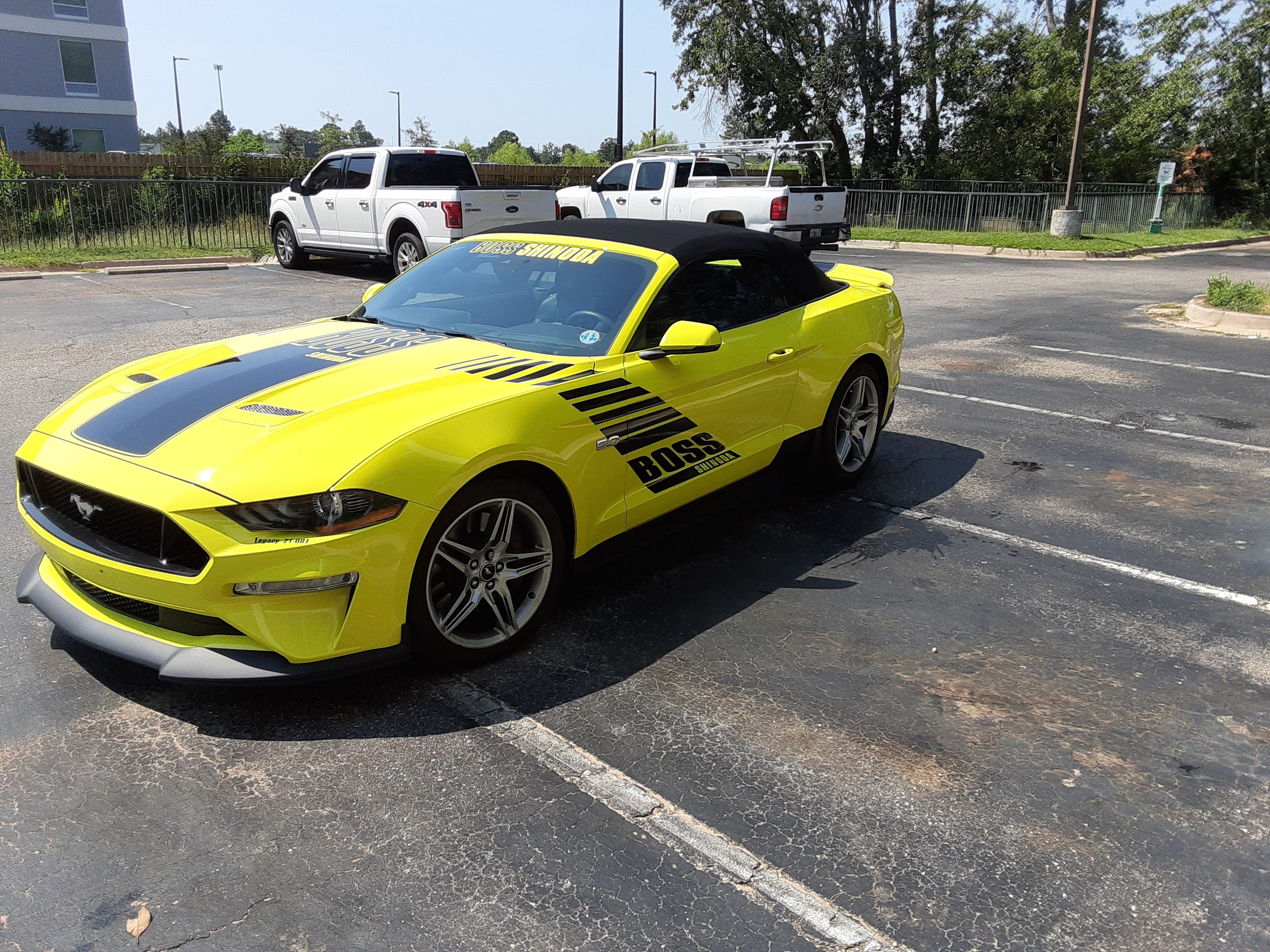 Boss Shinoda Vibe Stripe Drivers Side Decal 2018 -2023