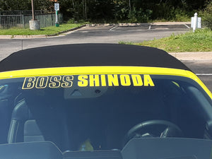 Boss Shinoda Vibe Stripe Decal package 2018 to 2023 Mustangs (Copy)