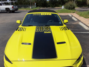 Boss Shinoda Vibe Stripe Decal package 2018 to 2023 Mustangs (Copy)