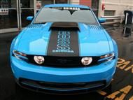 Boss Shinoda Vibe Stripe Style Hood decal 2010-2014