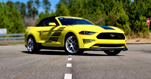 Boss Shinoda Chin Spoiler 2018-2021