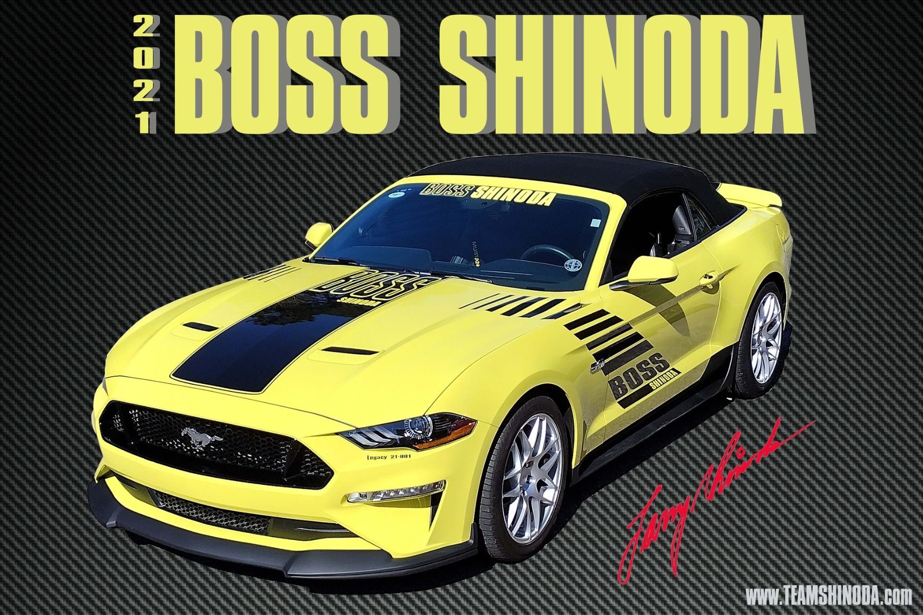 Boss Shinoda Chin Spoiler 2018-2021