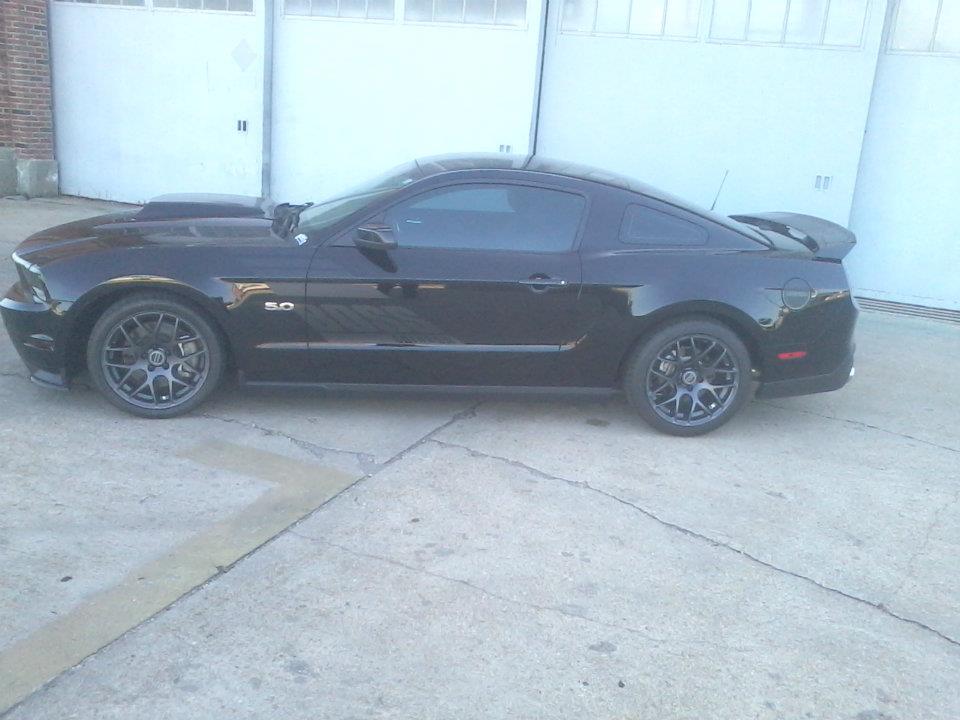 Boss Shinoda Vibe Stripe Style Drivers door decal 2010-2014