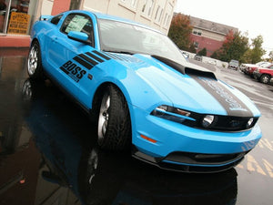 Boss Shinoda Vibe Stripe Style Passenger door decal 2010-2014