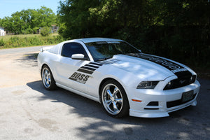 Boss Shinoda Vibe Stripe Style Passenger door decal 2010-2014