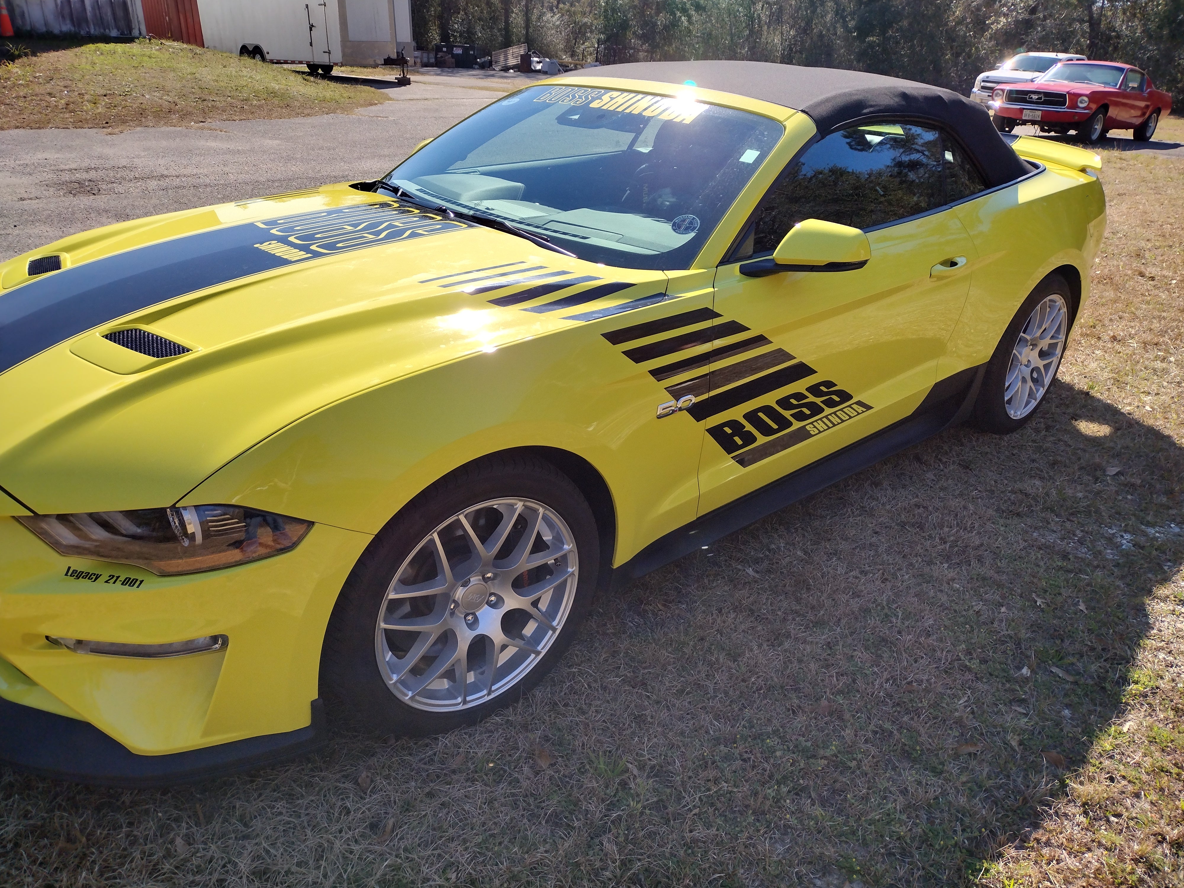 Boss Shinoda Vibe Stripe Decal package 2018 to 2023 Mustangs (Copy)