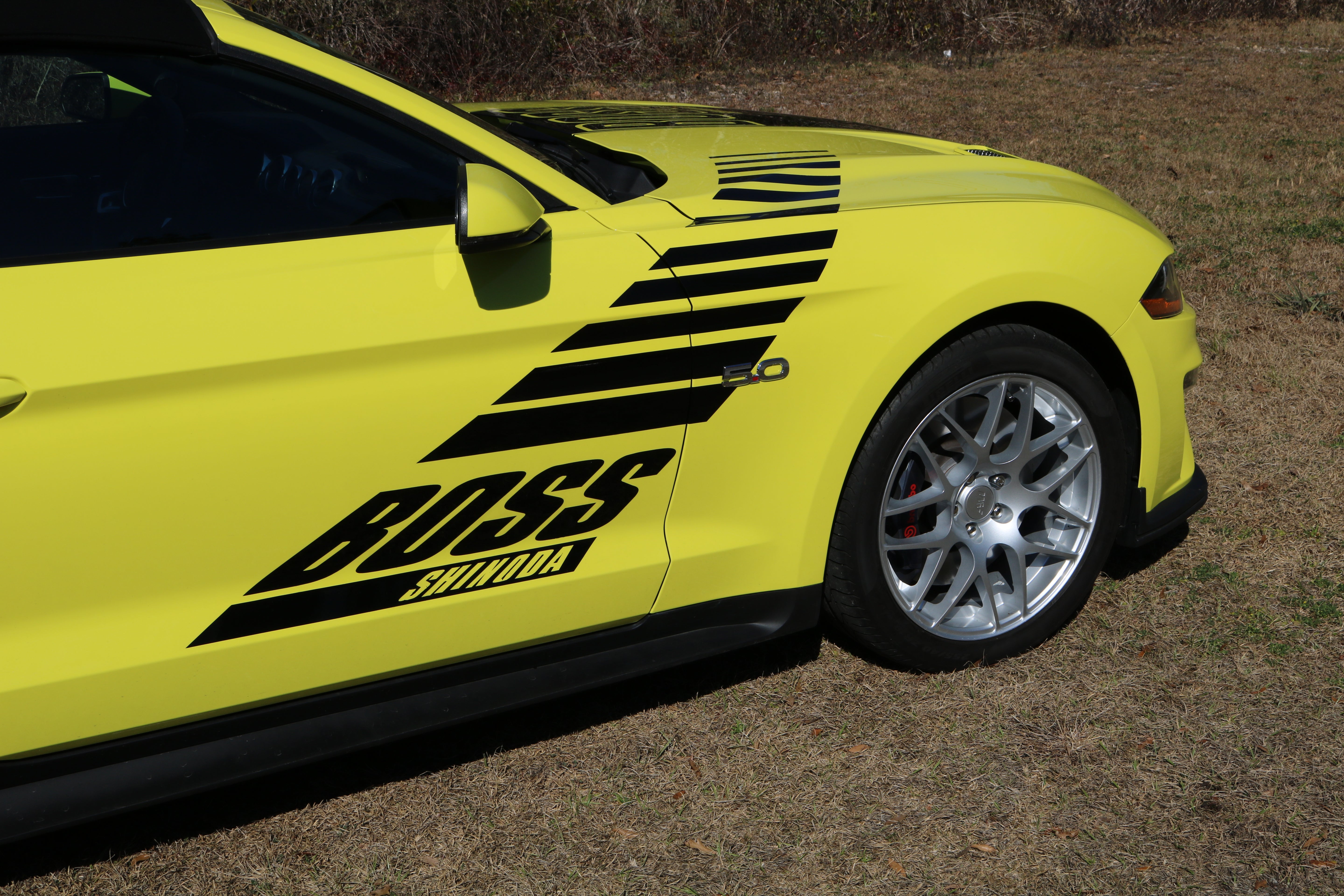 Boss Shinoda Vibe Stripe Decal package 2018 to 2023 Mustangs (Copy)