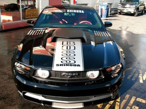 Boss Shinoda Vibe Stripe Style Window Banner decal 2010-2014